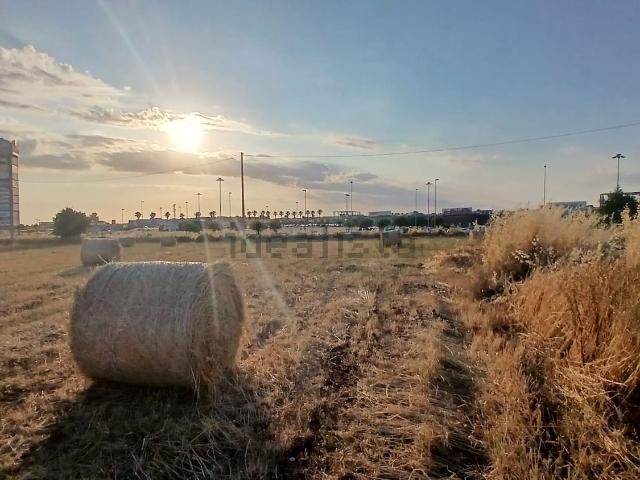 Terreno in vendita di 11000 m² in Viale delle Americhe