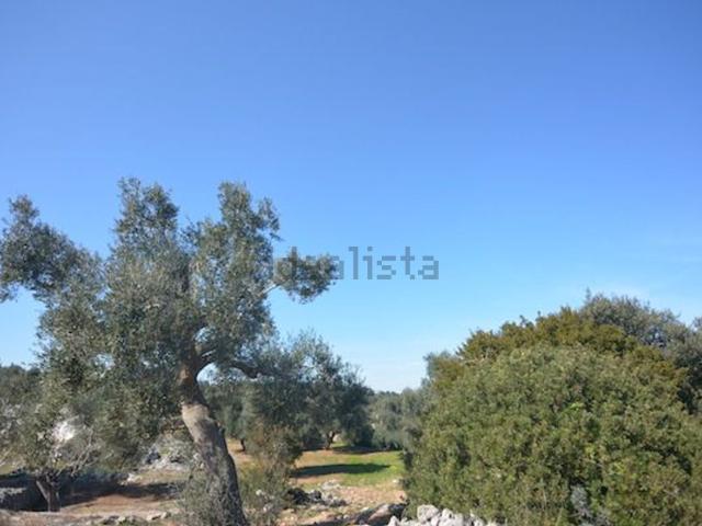 Terreno in vendita di 11000 m² in Contrada Monti