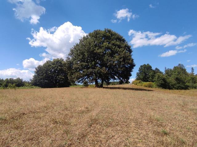 Terreno in vendita di 11000 m² in Località campetto