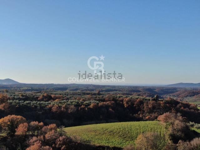 Terreno in vendita di 11000 m² in Strada Senza Nome