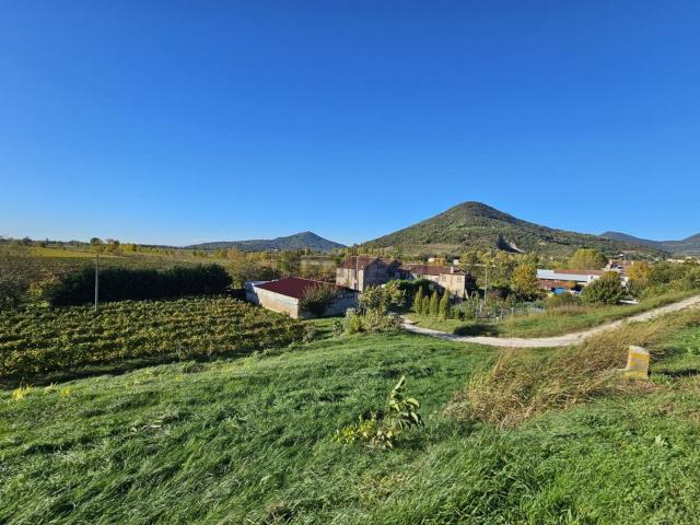 Terreno in vendita di 11005 m² in Strada Provinciale 21
