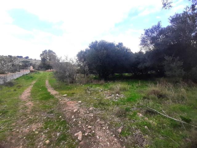 Terreno in vendita di 1100 m² in Strada Provinciale 81, 3