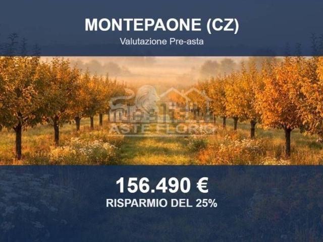 Terreno in vendita di 110435 m² in Strada Provinciale 116