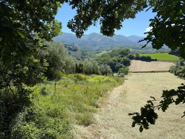 Terreno in vendita di 11120 m² in Strada di Vallecupa