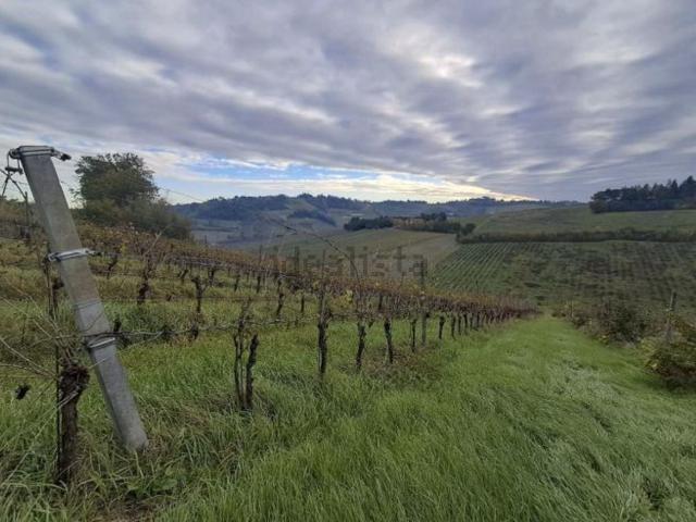 Terreno in vendita di 111263 m² in Via Sabbioni