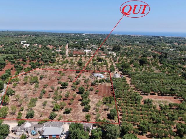 Terreno in vendita di 11137 m² in Via Serranova