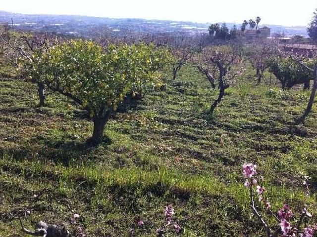 Terreno in vendita di 11150 m²