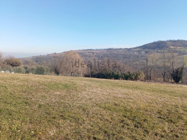 Terreno in vendita di 11170 m²