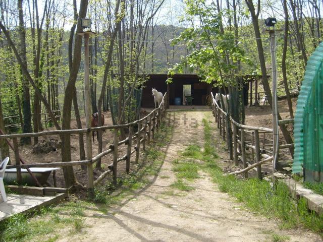 Terreno in vendita di 11170 m² in Via per Montagnana