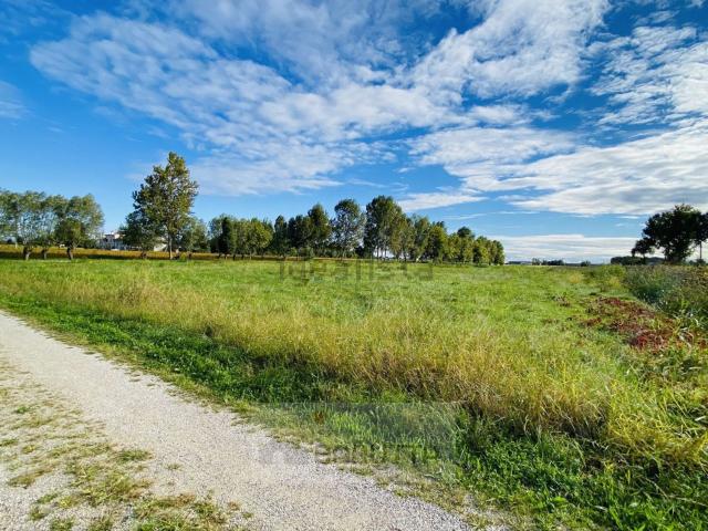 Terreno in vendita di 11280 m² in Via Pelosa, 156