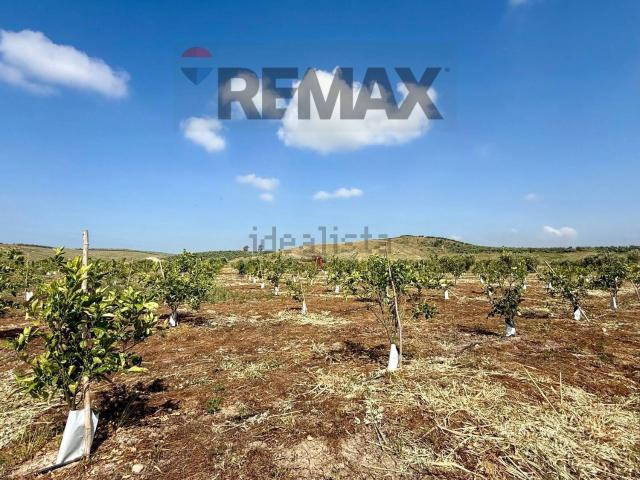 Terreno in vendita di 113000 m² in Strada Senza Nome