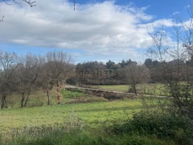 Terreno in vendita di 11300 m²