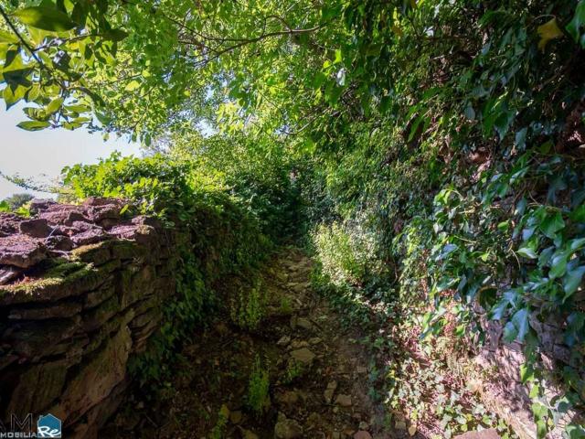 Terreno in vendita di 1130 m² in Via del Farnetello, 25