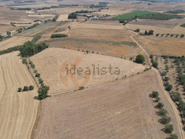 Terreno in vendita di 11340 m² in Strada Statale 128 Centrale Sarda
