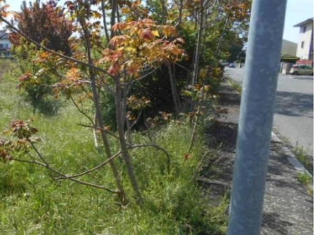 Terreno in vendita di 11 m² in Piazza della Libertà