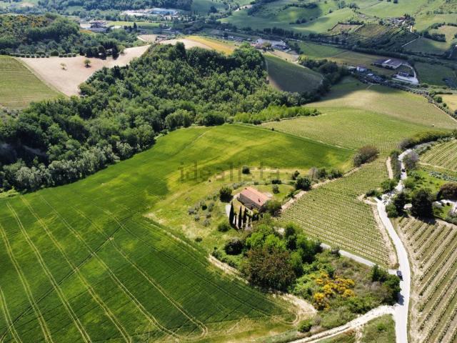 Terreno in vendita di 124000 m² in Contrada Pezzalunga