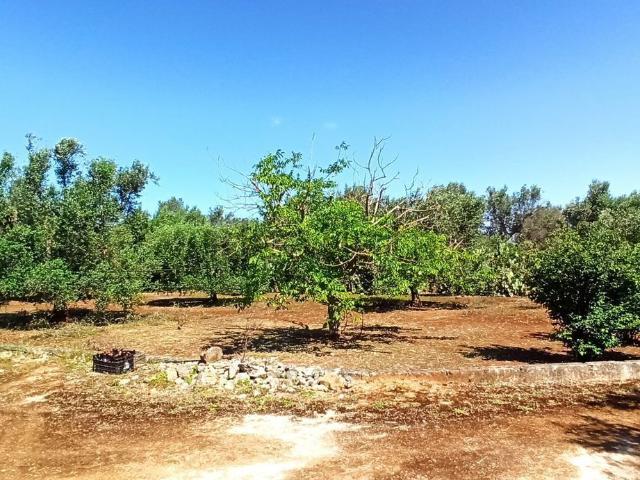 Terreno in vendita di 12400 m² in Contrada palmo