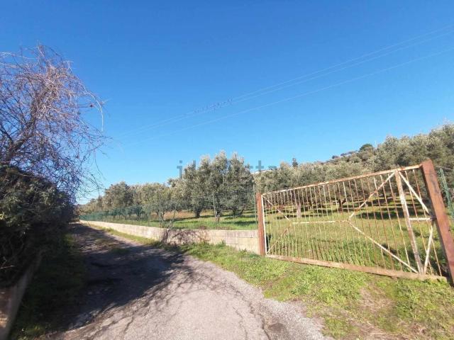 Terreno in vendita di 12430 m² in Contrada Santa Domenica