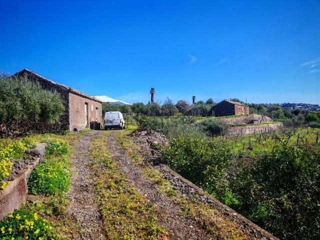 Terreno in vendita di 12456 m² in Contrada Mendolito