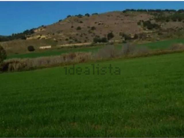 Terreno in vendita di 124650 m² in Contrada Carruba
