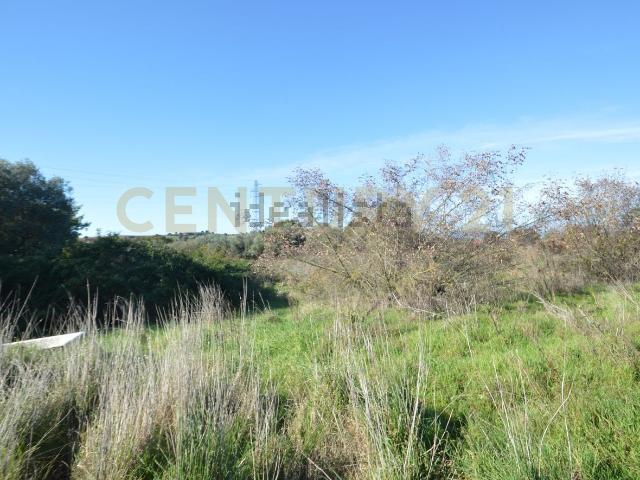 Terreno in vendita di 124700 m² in Strada Provinciale Montiano
