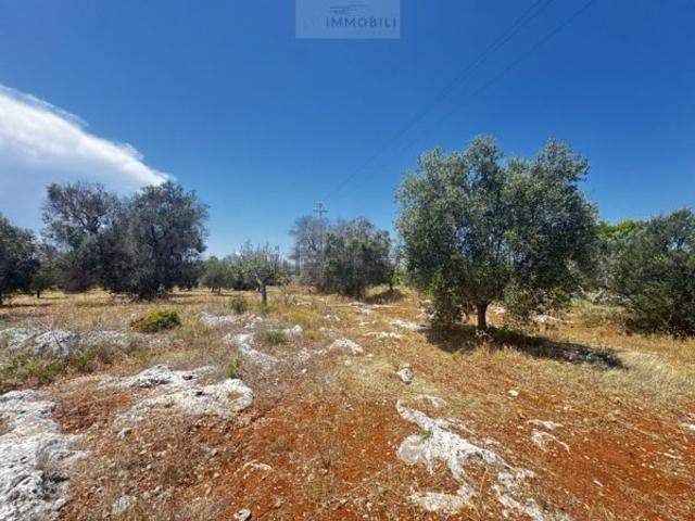 Terreno in vendita di 12486 m² in Via ignota