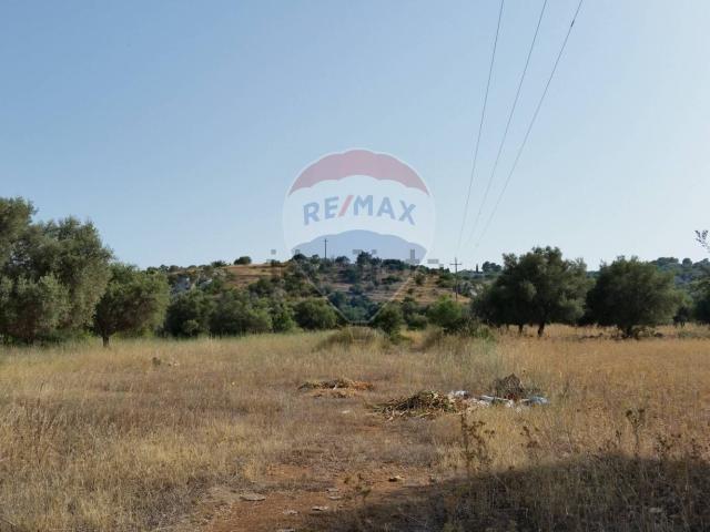Terreno in vendita di 12500 m² in Strada Provinciale 73