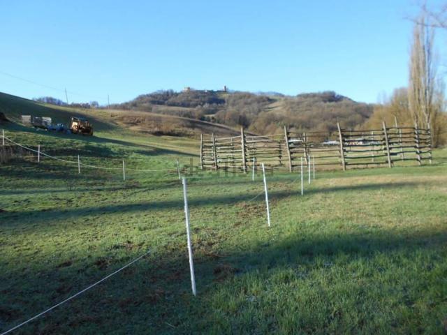 Terreno in vendita di 12503 m² in Via Borgonovi, 3