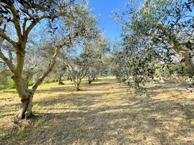 Terreno in vendita di 1250 m² in Strada del Poggiale