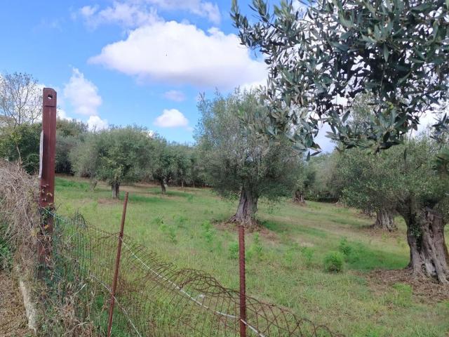 Terreno in vendita di 1250 m² in Strada Statale 18 Tirrena Inferiore