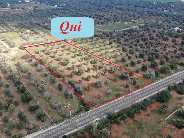 Terreno in vendita di 12659 m² in Contrada Frascinari