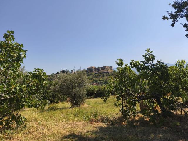 Terreno in vendita di 12700 m² in Contrada Tenimento