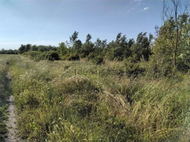 Terreno in vendita di 12868 m² in Via Panini