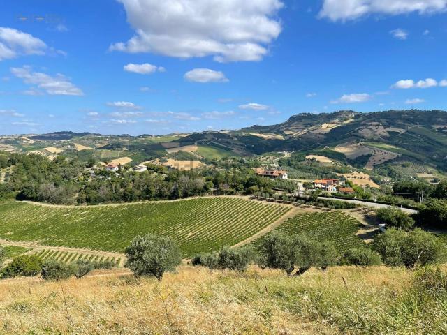 Terreno in vendita di 128746 m² in Contrada Petrella