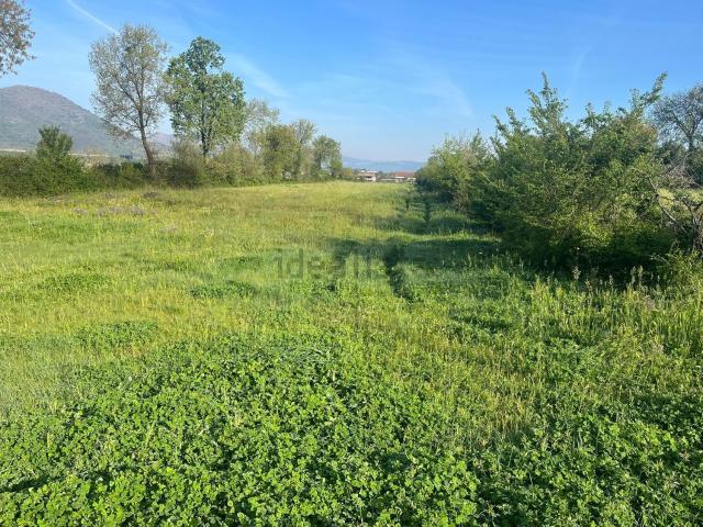 Terreno in vendita di 12900 m²