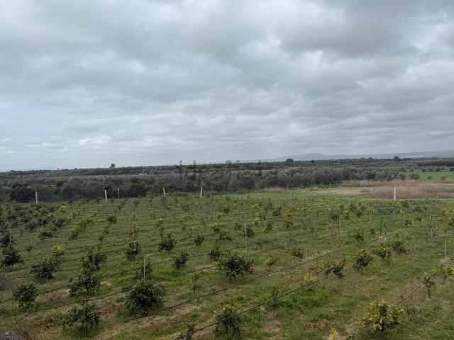 Terreno in vendita di 12900 m² in Via San Rocco Palata