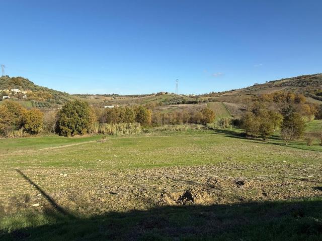 Terreno in vendita di 12900 m² in Contrada Crocetta