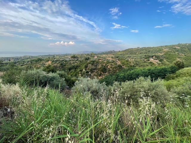 Terreno in vendita di 1290 m² in Via San Martino