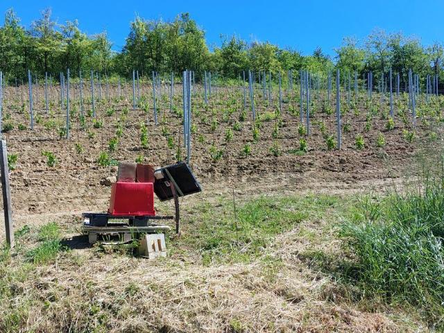 Terreno in vendita di 120000 m²