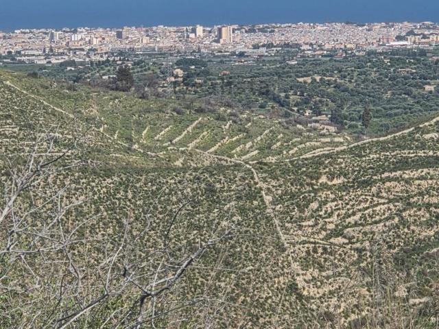 Terreno in vendita di 120000 m² in Contrada San Elia