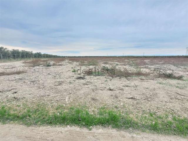 Terreno in vendita di 120000 m² in Contrada Quarto