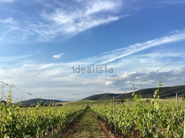 Terreno in vendita di 120000 m² in Località Collecchio