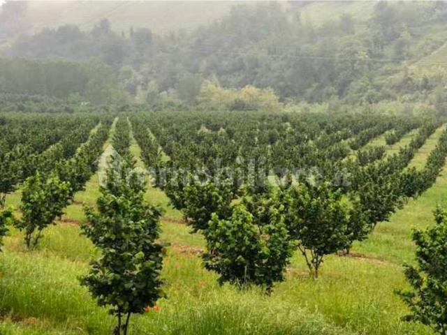 Terreno in vendita di 120000 m² in Via Sant Eusebio