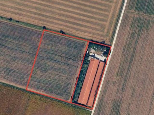 Terreno in vendita di 12000 m²