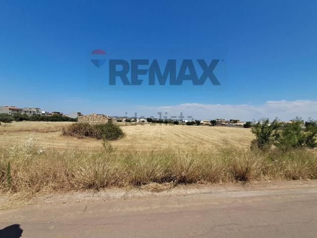 Terreno in vendita di 12000 m²