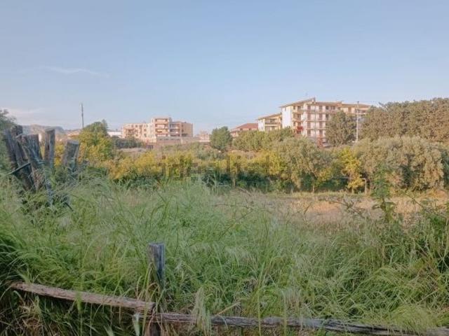 Terreno in vendita di 12000 m²