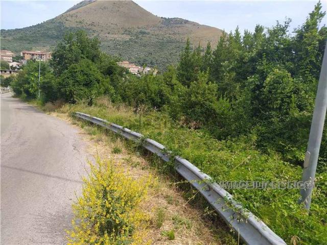 Terreno in vendita di 12000 m²