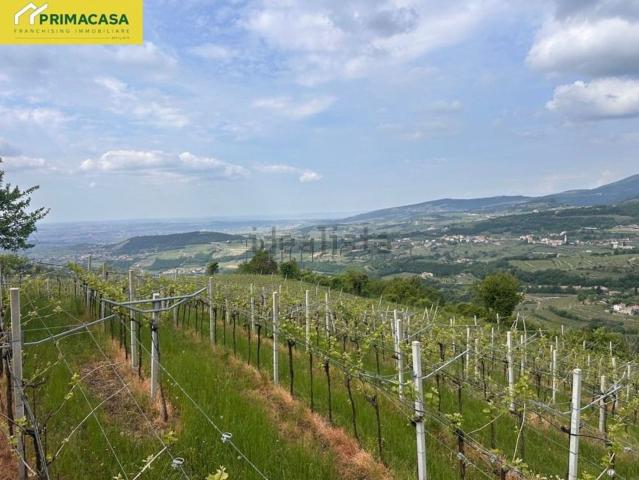Terreno in vendita di 12000 m² in Via Chieve