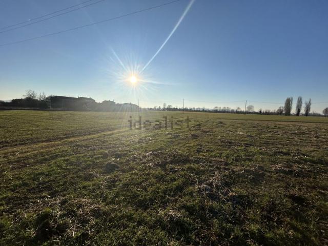 Terreno in vendita di 12000 m² in Via Barchessa
