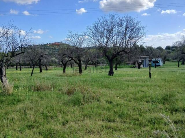 Terreno in vendita di 12000 m² in Via dei Genovesi